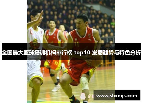 全国最大篮球培训机构排行榜 top10 发展趋势与特色分析